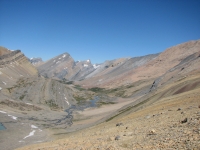 Upper Brazeau Creek